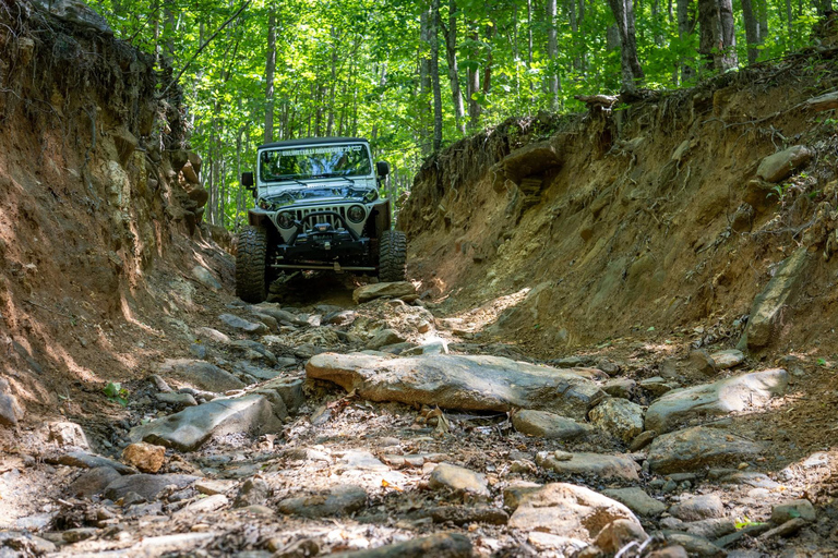 باتومي: مغامرة على الطرق الوعرة ليوم كامل في الغابة والشلالات