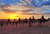 Marrakesch, 2Tage Sahara Wüste Safari Zagora & Ait Ben Haddou - Hizvo