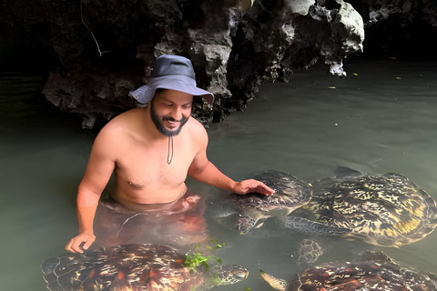 Zanzibar: Simma med sköldpaddor i Salaam-grottan och en bevarande-turKizimkazi: Salaam-grottan, simma med sköldpaddor och bevarande