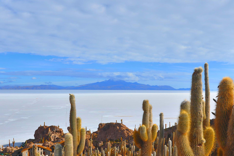 Från La Paz: 3-dagars Uyuni Salt Flats Tour med busstransfer