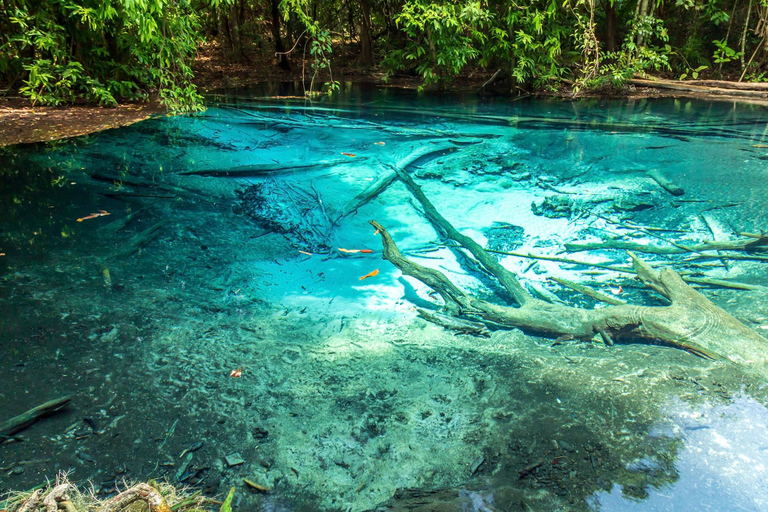 Krabi: Epic ATV Safari & Hidden Waterfall Swim ATV 1 Hours ,Kayaking,Khlong Namsai,Khong Root