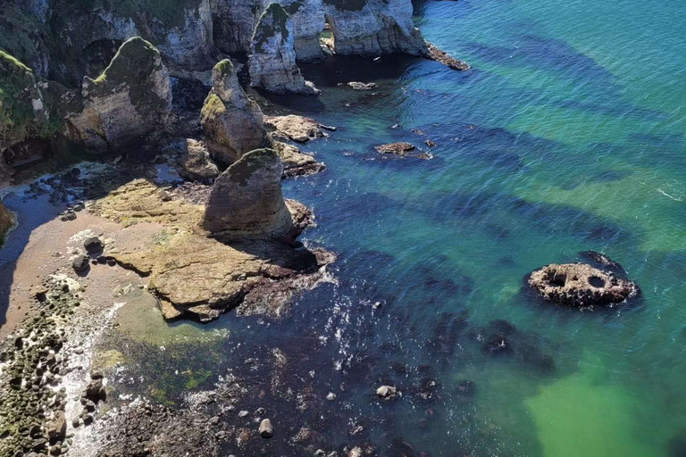 Belfast; High lights Giants Causeway private tours