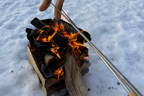 Rovaniemi: Private Snowmobile Trip in Lapland