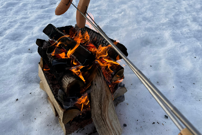 Rovaniemi: Private Snowmobile Trip in Lapland