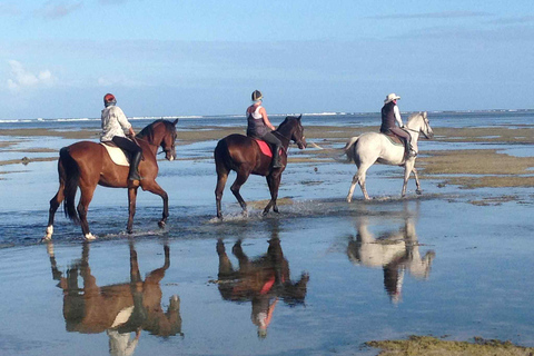Mauricio: Paseo a caballo por la playa desierta de Riambel