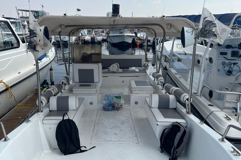 Jeddah: excursión en barco a la isla Bayada con paseo en donutJeddah: Excursión en barco por la isla de Bayada con paseo en donut