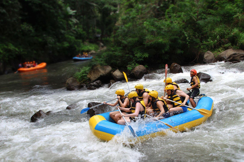 Bali Aventura de rafting en el río AyungActividad turística con punto de encuentro