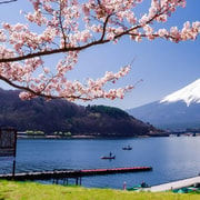 Tokyo: Mount Fuji Private Customizable Day Tour 10-12 Hours