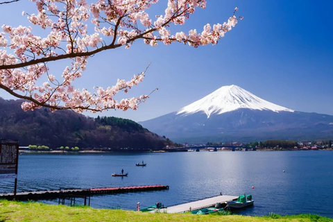 Mount Fuji Or Hakone Private Tour From Tokyo (Customizable) Van ( Toyota Vellfire or Alphard)