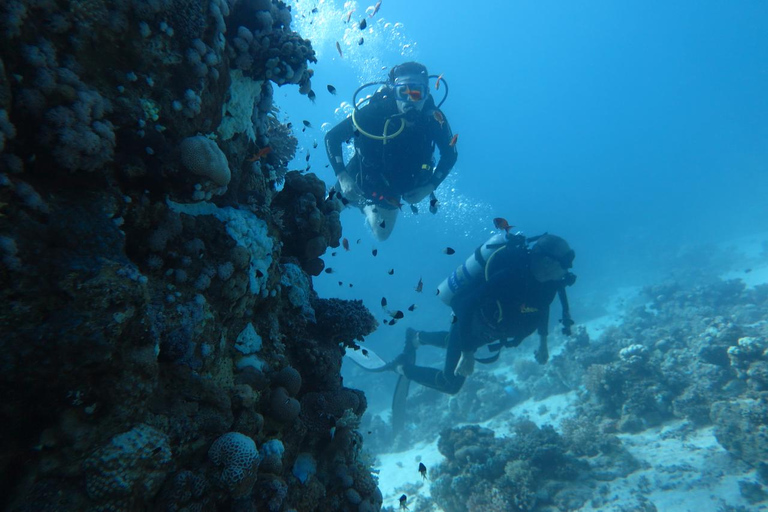 Hurghada: Dive Experience for Beginners or Certified Divers Full-Day Scuba Diving for Certified Divers