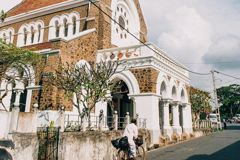 Bentota: Whale Watching, Galle Fort, & Turtle Day Tour