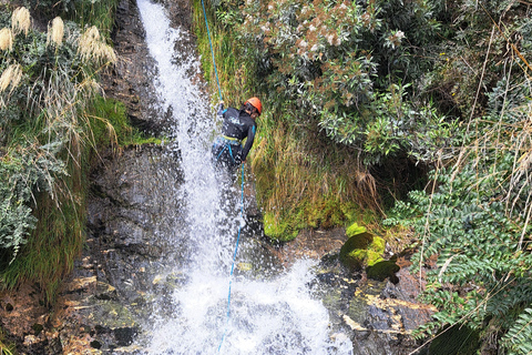 Wanaka: Waterfall Climb and Canyon Tour