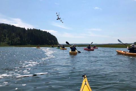 From Boston: Guided Kayak Adventure at the Crane Estate