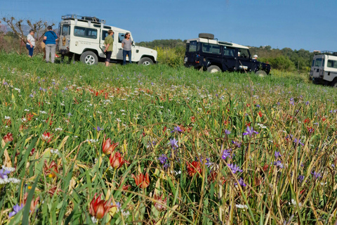 Pafos: Excursión de un día a los Montes y Pueblos de Troodos