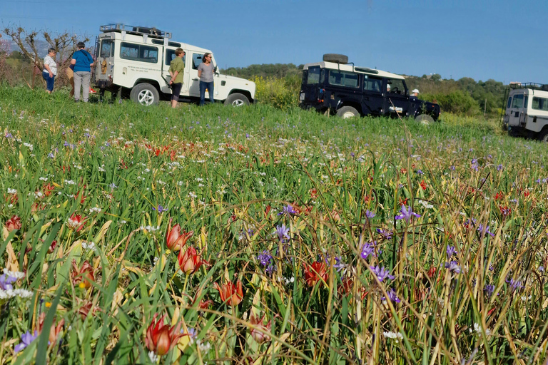 Paphos: Dagtrip Troodosgebergte en dorpen