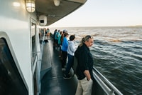Cape May, Cape May Island Sunset Cruise & Dolphin Watching - Hizvo