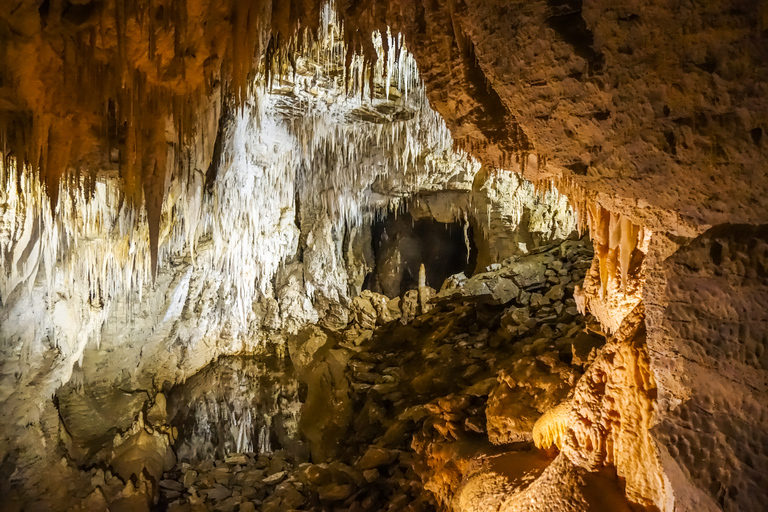 Waitomo: Jaskinie Glowworm Wycieczka z przewodnikiem łodziąWaitomo: rejs z przewodnikiem po jaskiniach Waitomo Glowworm