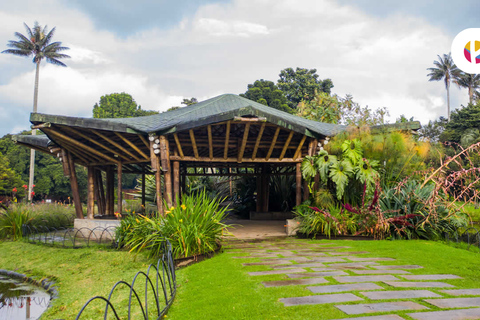 Explore the Magic of the Botanical Garden - Bogotá