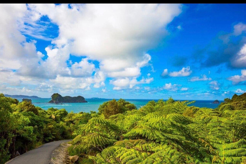 Auckland: Hidden Gem Coromandel& Cathedral Cove Private Day