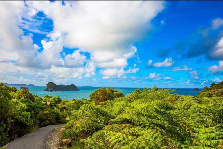 Auckland: Hidden Gem Coromandel& Cathedral Cove Private Day