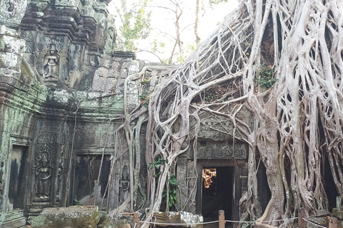 Excursión de un día a Angkor Wat con salida del sol