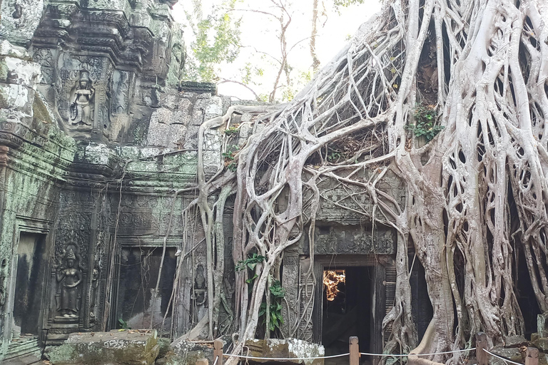 One Day Angkor Wat Trip with Sunrise