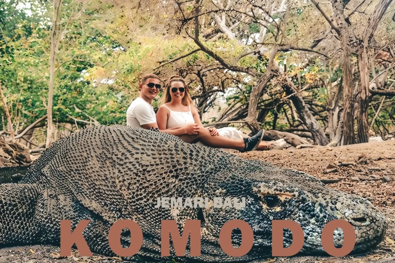 Komodo Tour: 4 Daagse Privétour met Overnachting per Boot & Hotel