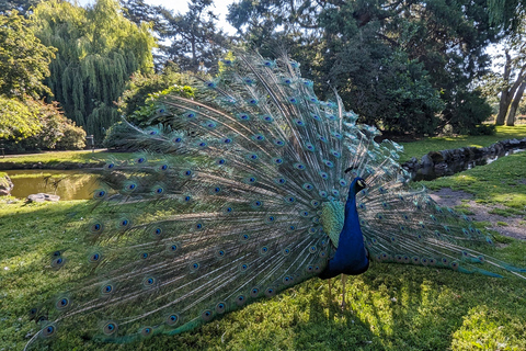 Private Tour: Victoria, Butchart Gardens & Fisherman's Warf