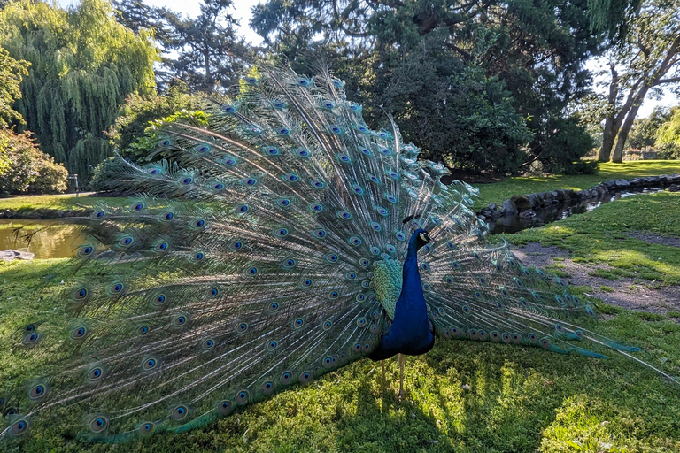 Private Tour: Victoria, Butchart Gardens & Fisherman's Warf