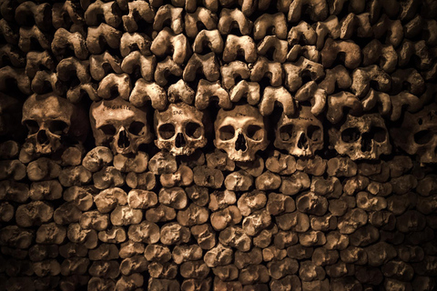 Paris: Catacombs Ticket and Seine River Cruise