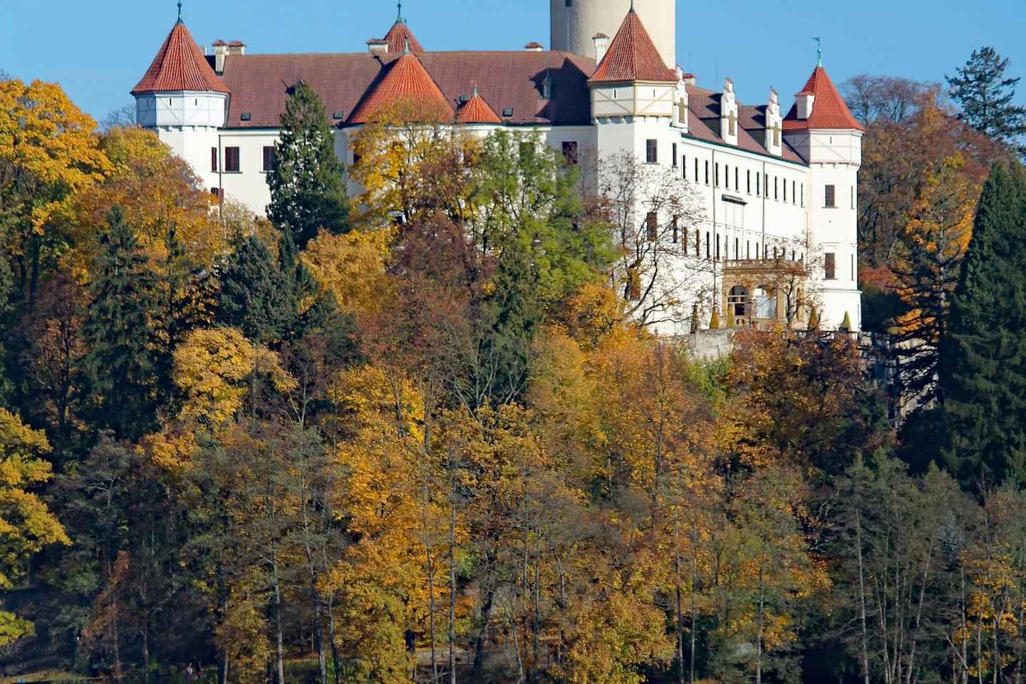Afternoon Tea at Konopiště Castle: Aristocratic Tradition