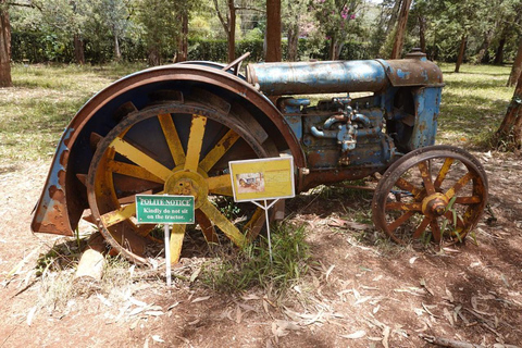 Karen Blixen Museum Experience: Nairobi Half-Day Guided Tour