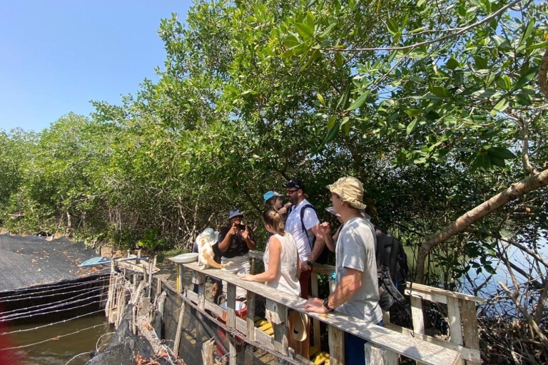 Wycieczka ekologiczna i wędkowanie w naturalnych namorzynach Cartageny