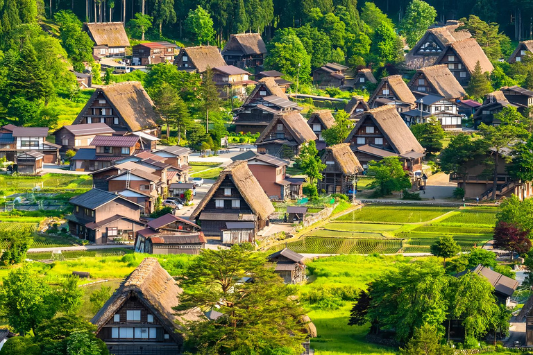 Nagoya:Shirakawa-go Gassho Village&Takayama Old Town Tour