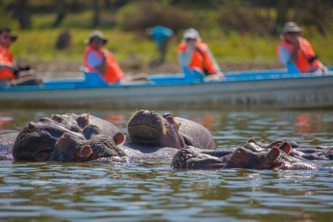 From Nairobi: Lake Nakuru National Park Safari with Lunch