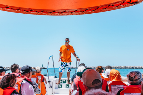 Vilamoura: Benagil Cave Boat Tour with Entry