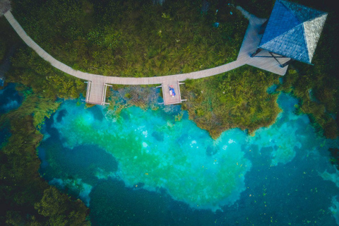 From Bled/Bohinj: Julian Alps & Italy Day Trip with Guide