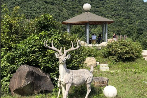 Shanghai: Fuyang Bayberry Picking & Ancient Town Day Trip