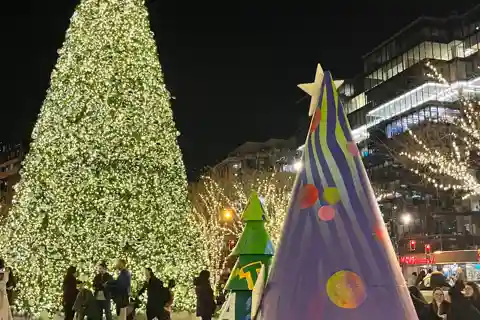 Washington, DC: Christmas Tree & Holiday Lights Bus Tour