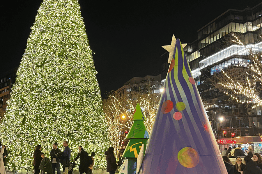 DC: Bustour zum Nationalchristbaum & zu den Weihnachtslichtern. Foto: GetYourGuide