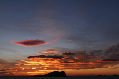 Ibiza : Beach hopper all-inclusive trip. Daytime & Sunset Daytime