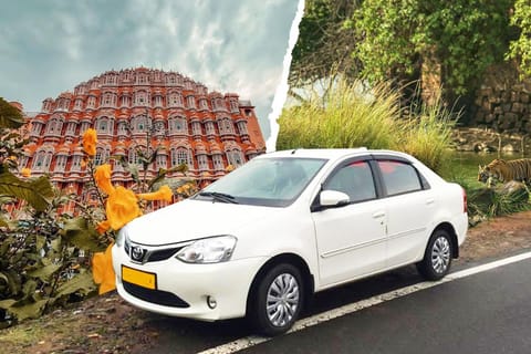 Jaipur: Private Transfer to/from Ranthambore National Park