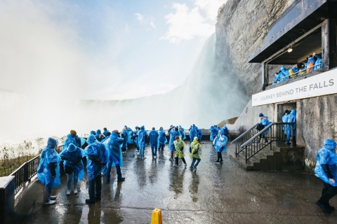 Toronto : visite chutes du Niagara en petit groupe le matinVisite en groupe