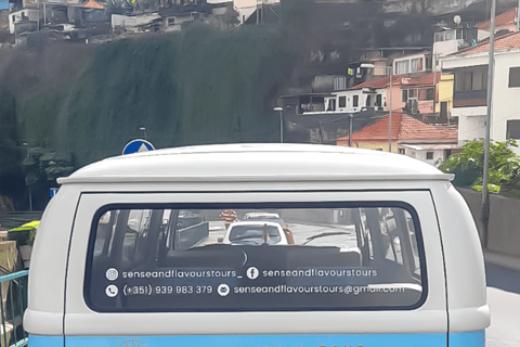 VW VAN Tours | NORDESTE