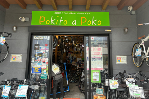 Tokyo: Lake Tama E-Bike Tour with Matcha Break