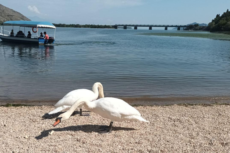 Skadar lake cruise with lunch