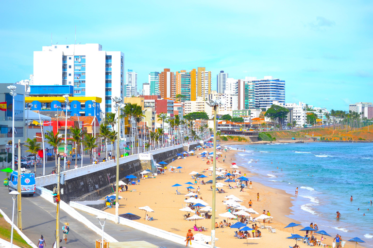 Salvador da Bahia: Full-Day City Tour with Hotelier and Guide Markus