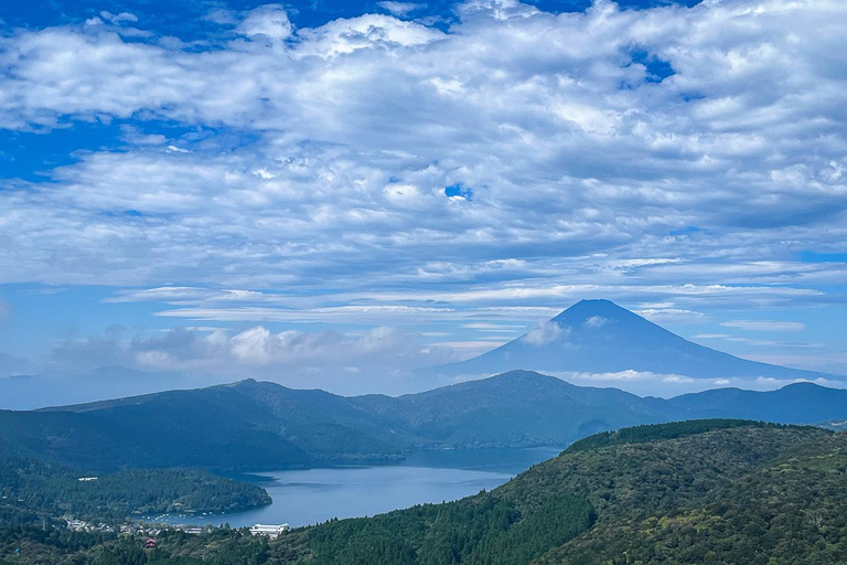 Tokio: Excursión de un día a Fuji y Hakone: onsen, arte y naturalezaTour privado en monovolumen para hasta 5 personas