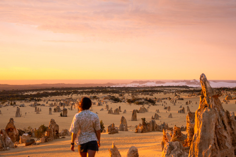 Private Pinnacles Premium Day Experience