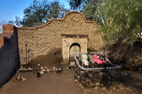 Barrio Viejo Tucson Walking Tour & Scott Avenue with Guide
